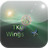 tko-wings.png